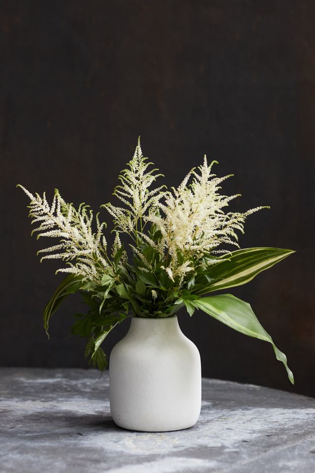 Fresh Astilbe Bouquet #3