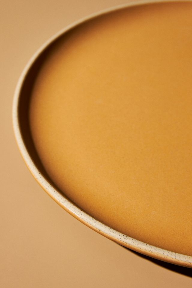 Hayes Dinner Plates, Set of 4 #2