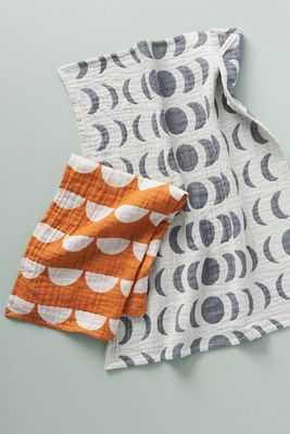 Orion Dish Towels, Set of 2