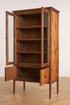 Amber Lewis for Anthropologie Curio Cabinet