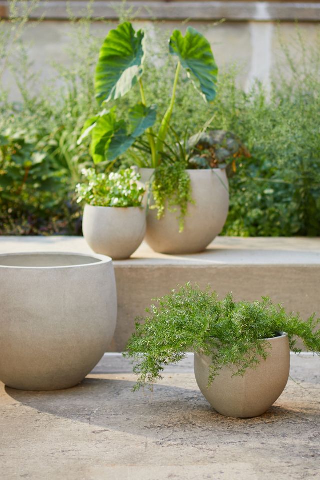 Fiber Concrete Egg Planter, 16" #3