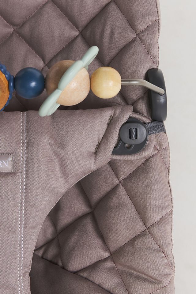 BabyBjorn Bouncer Bundle #3