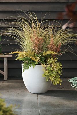 Sanded Fiber Egg Planter, 20”