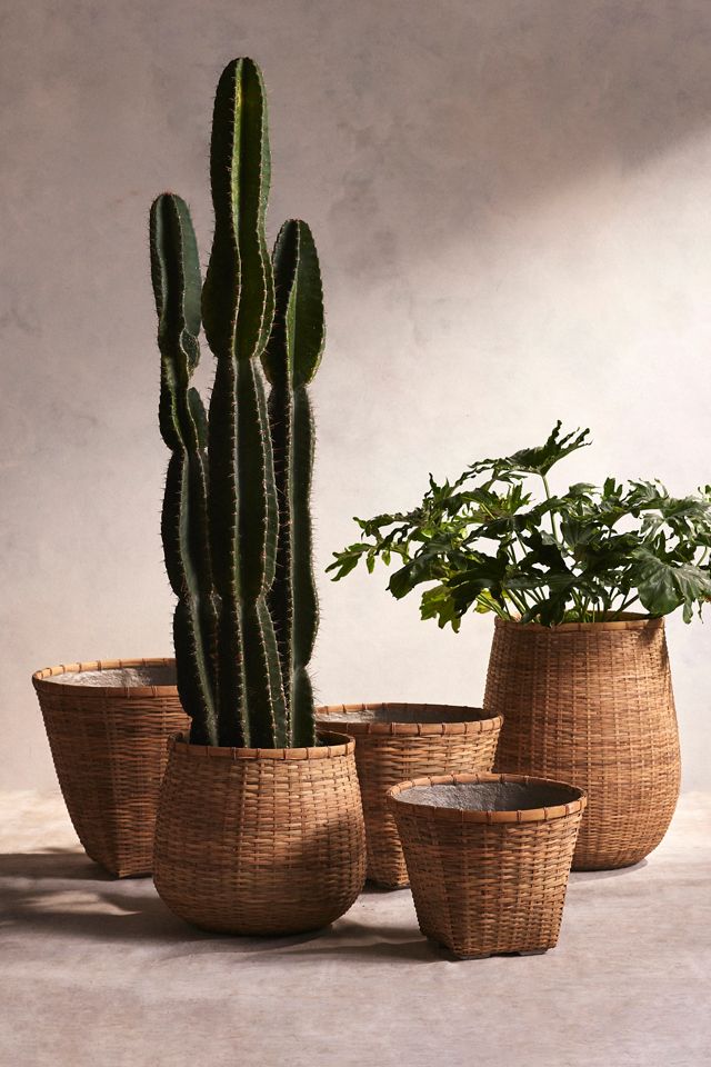Bamboo Fiber Planter, Tall Drop #2