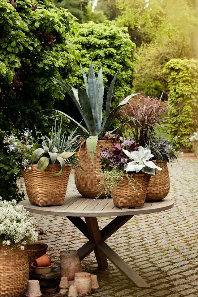 Bamboo Fiber Planter, Tall Drop #5