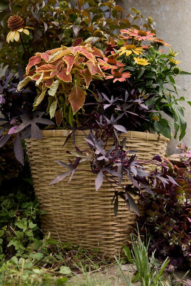 Bamboo Fiber Planter, 16" #9