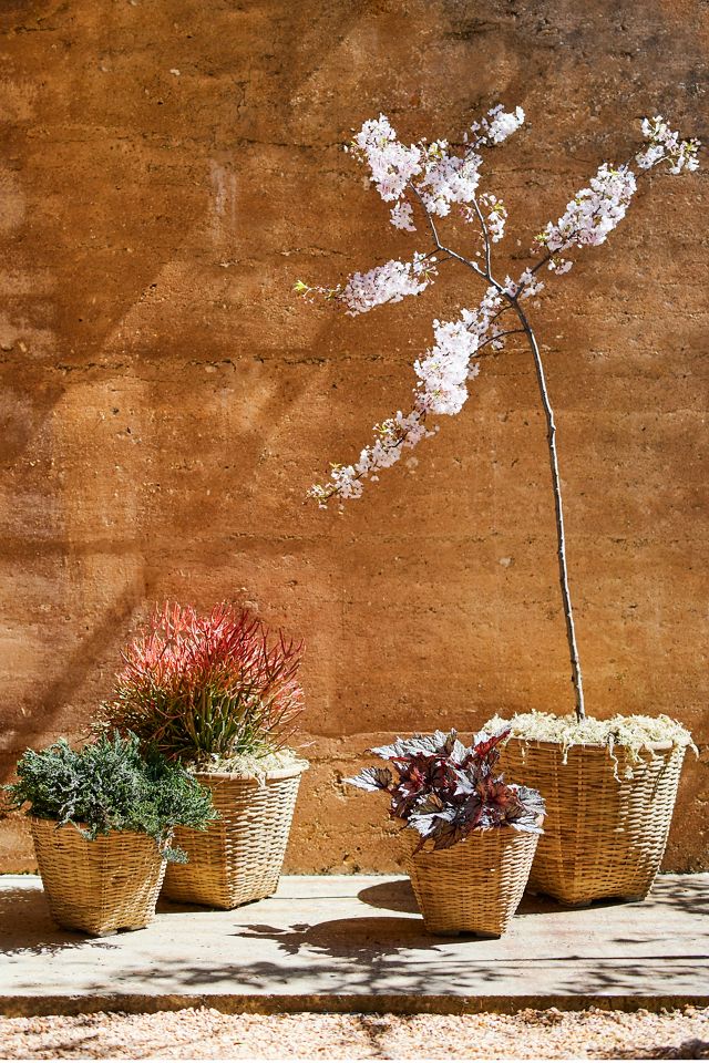 Bamboo Fiber Planter, 16" #5