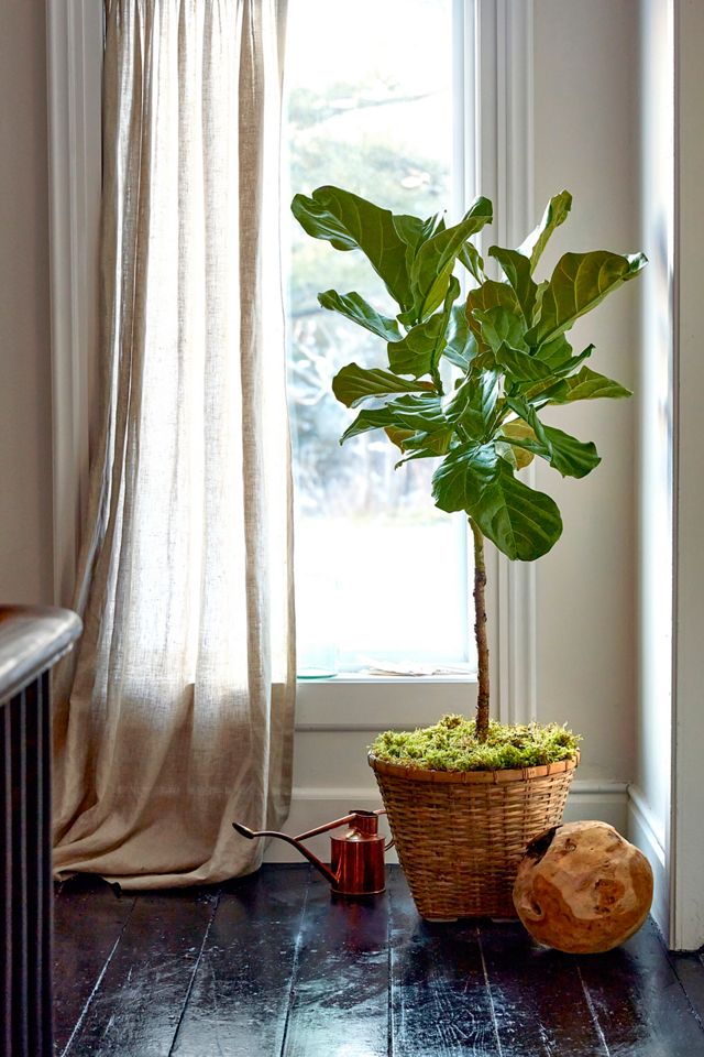 Bamboo Fiber Planter, 20" #5