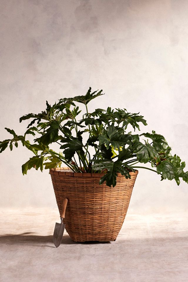 Bamboo Fiber Planter, 24" #1