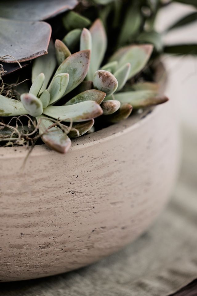 Fiber Cement Bowl Planter, 14" #1