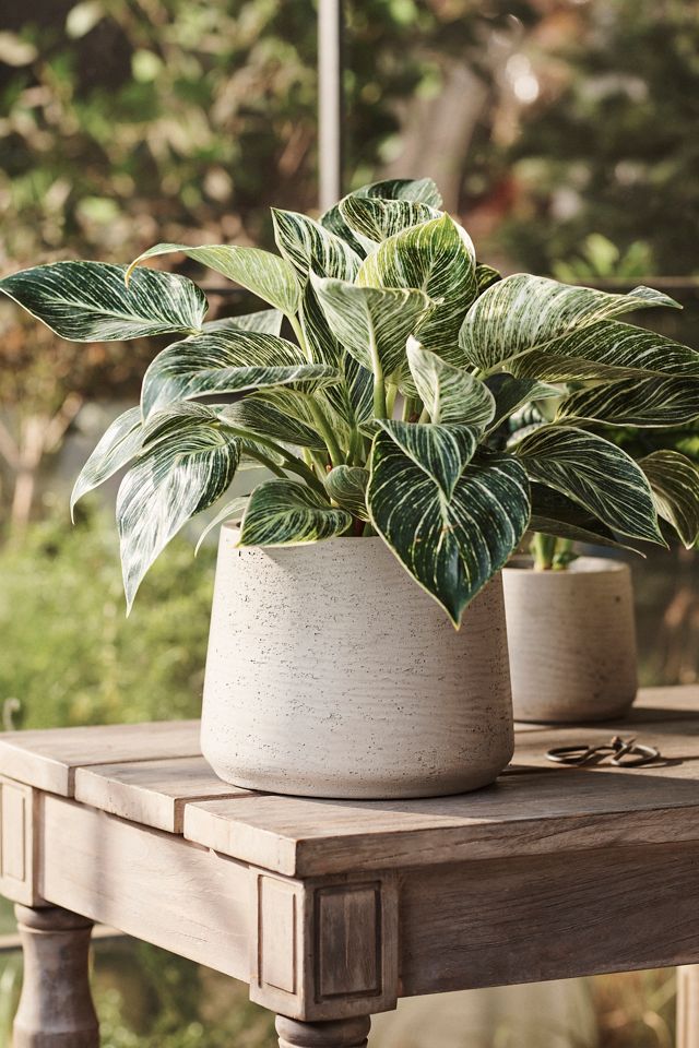 Fiber Cement Drop Planter, 8" #1