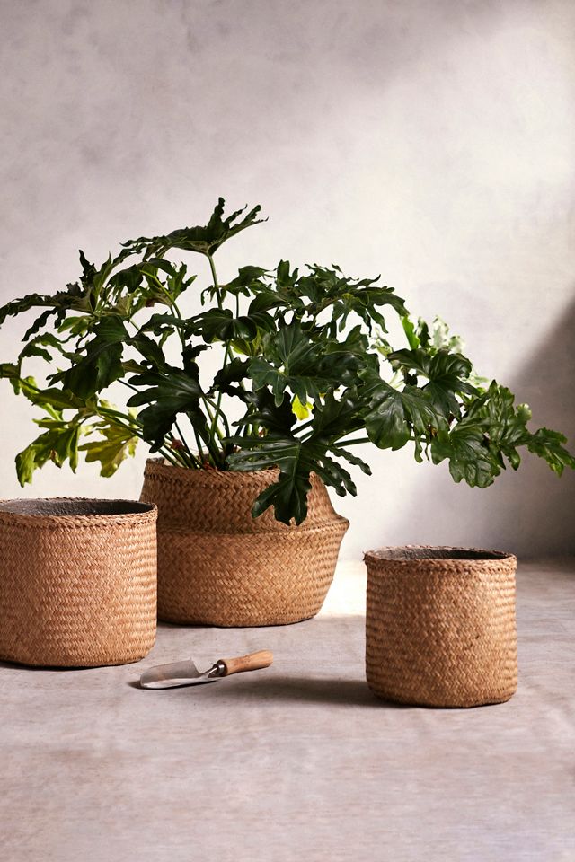 Woven Seagrass U Planter, 10 #2
