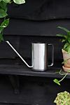 Mod Stainless Steel Watering Can #1
