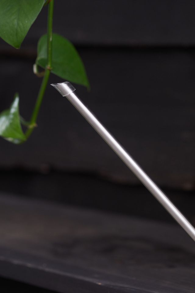 Mod Stainless Steel Watering Can #3