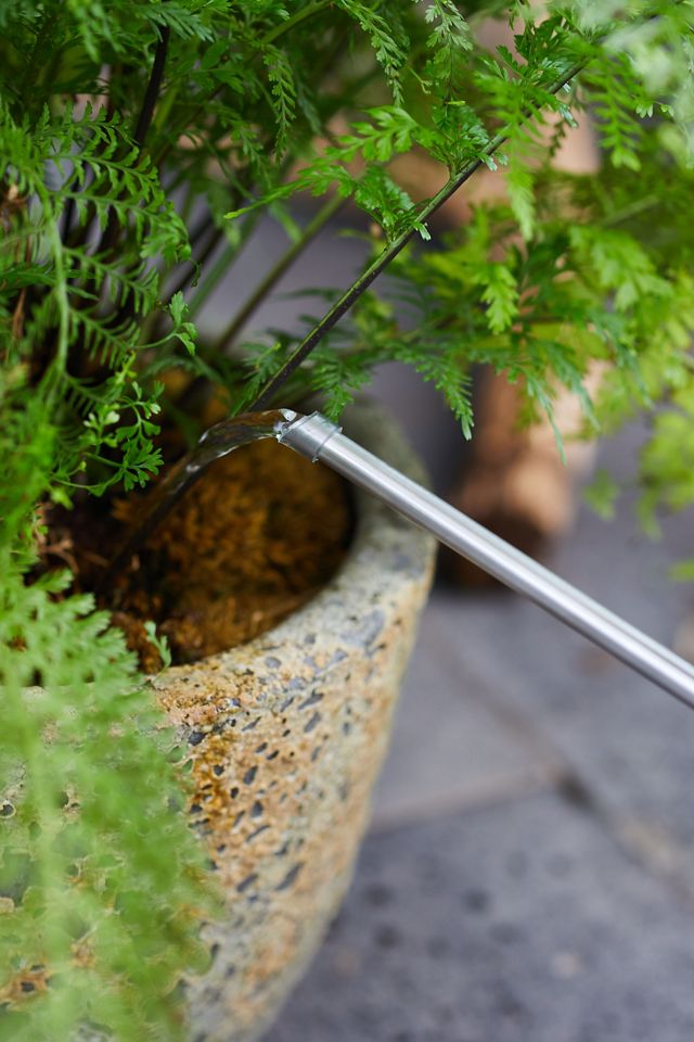 Mod Stainless Steel Watering Can #4