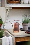 Copper Watering Can
