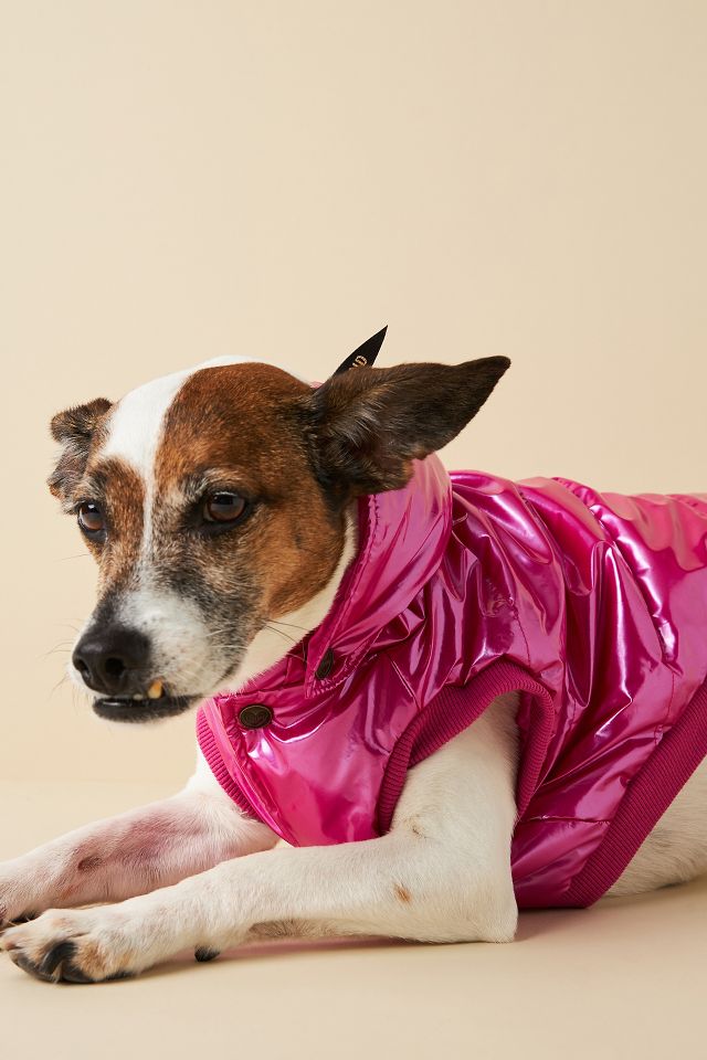 Top rated dog clearance coats