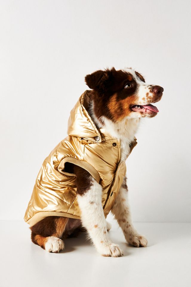 Dog Puffer Coat AnthroLiving