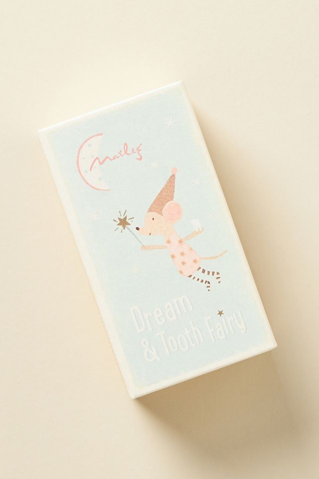 Tooth Fairy Mouse In A Box | AnthroLiving