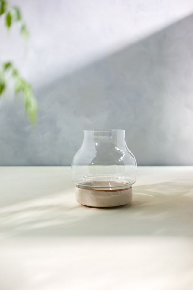 Ceramic Base Terrarium #1