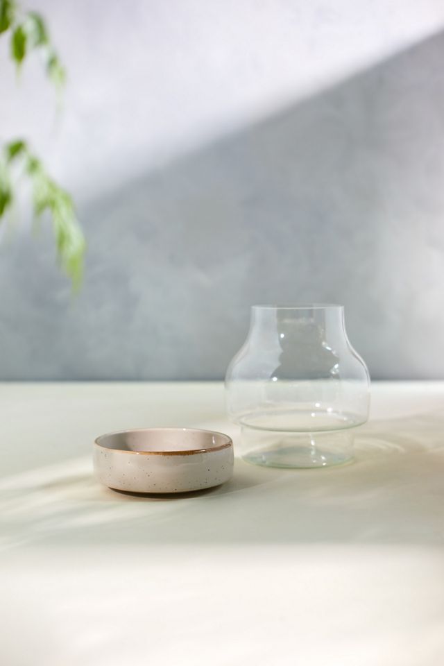 Ceramic Base Terrarium #2