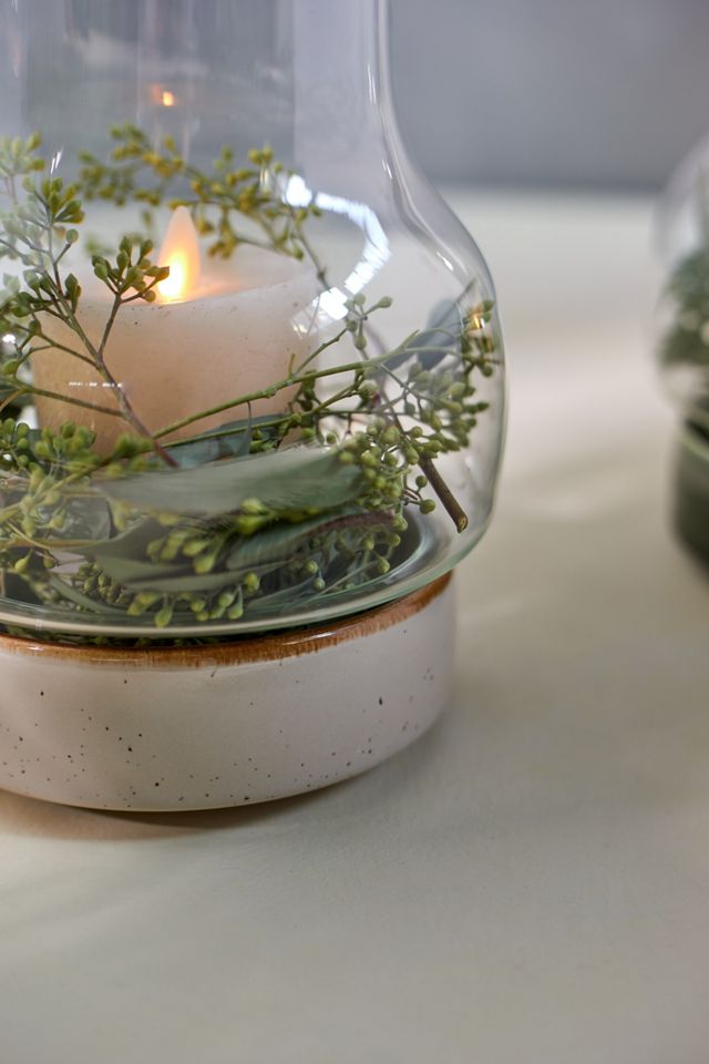 Ceramic Base Terrarium #3