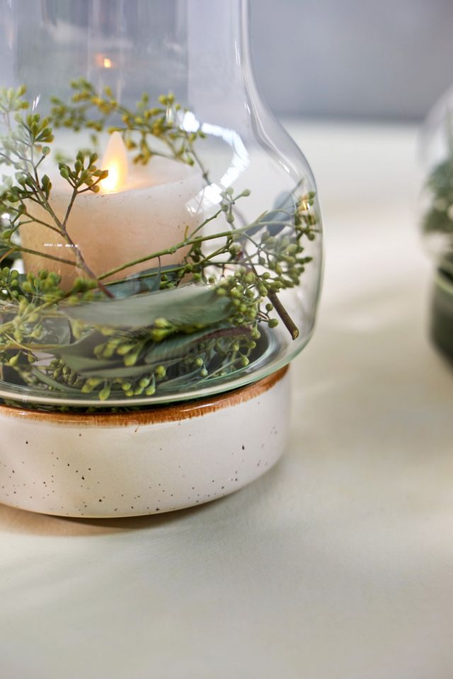 Ceramic Base Terrarium #4