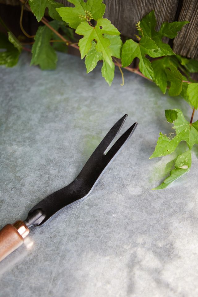 Barebones Weeding Fork #1