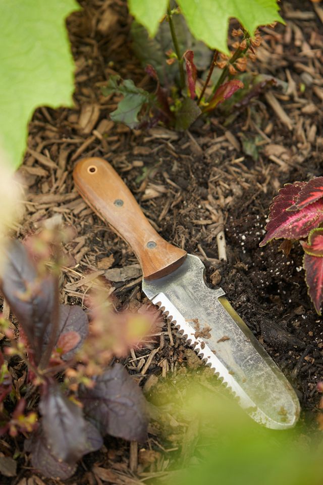 Barebones Hori Hori Classic AnthroLiving