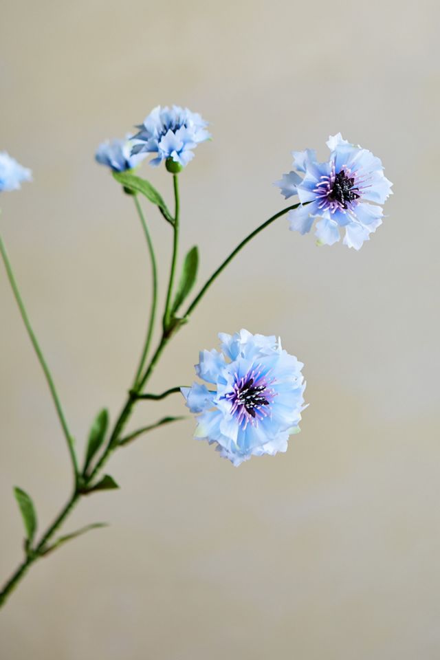 Faux Cornflower Stem #1