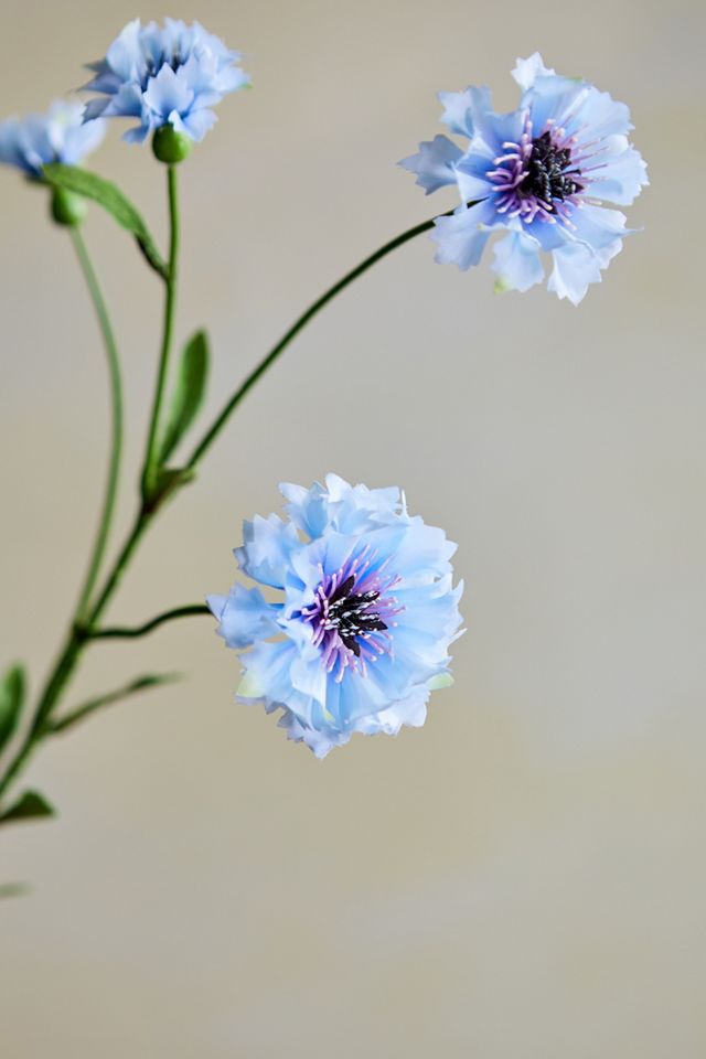Faux Cornflower Stem #2