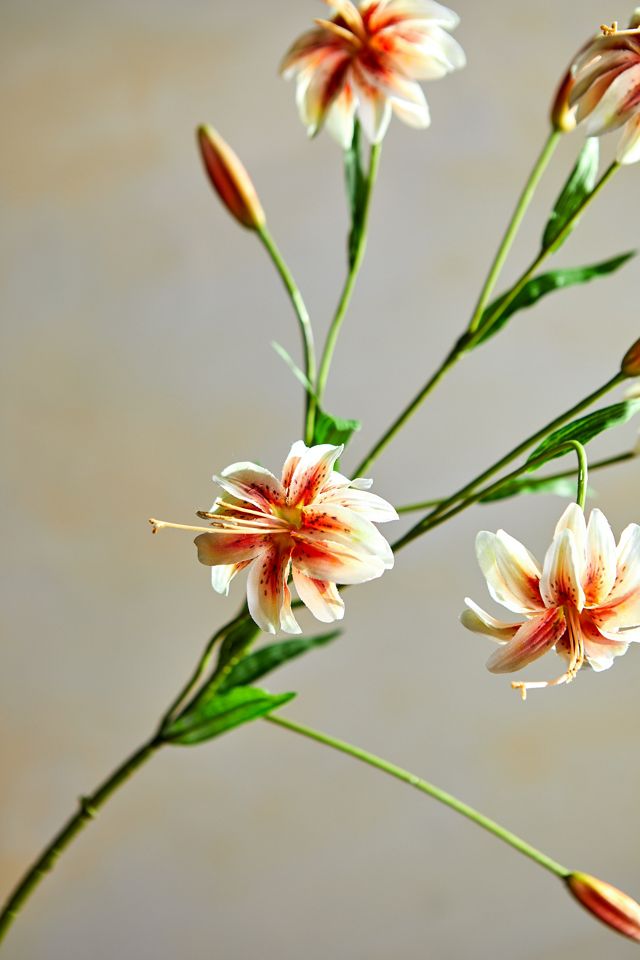 Faux Lily Stem, Oranges #1