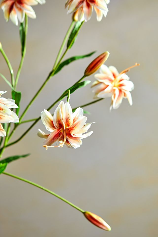 Faux Lily Stem, Oranges #2
