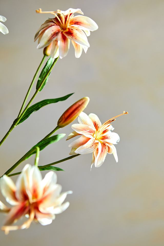 Faux Lily Stem, Oranges #3