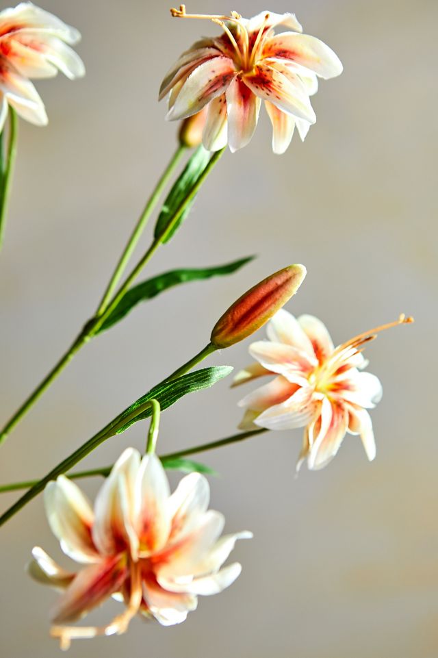 Faux Lily Stem, Oranges #4