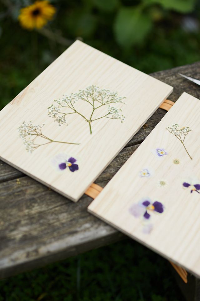 Herb + Flower Press #1