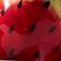 Red Pattern