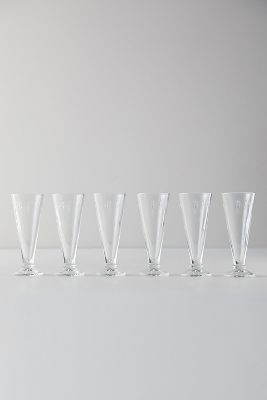 Terrain Bee Flute Glasses, Set Of 6 In Animal Print