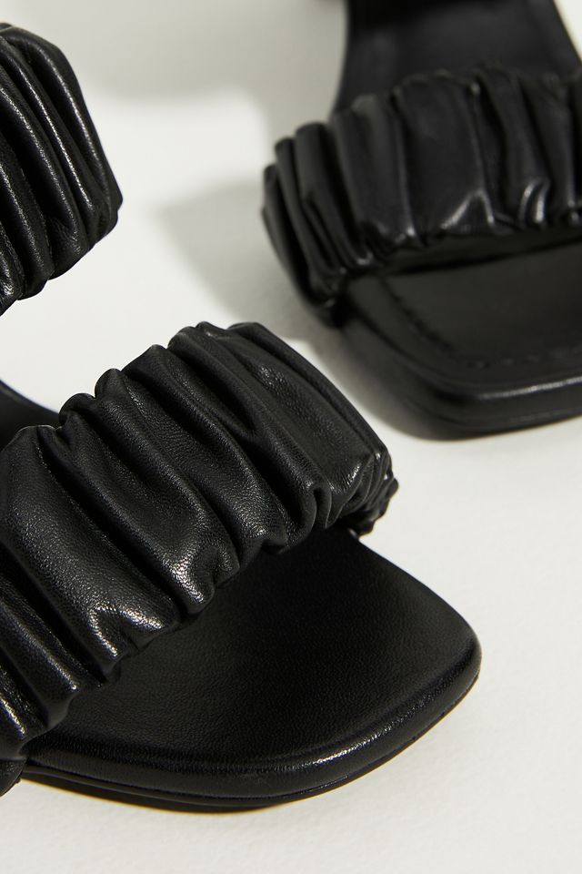 Seychelles Leeward Mules #2