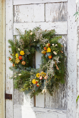 Terrain Fresh Noble Fir + Preserved Stem Wreath