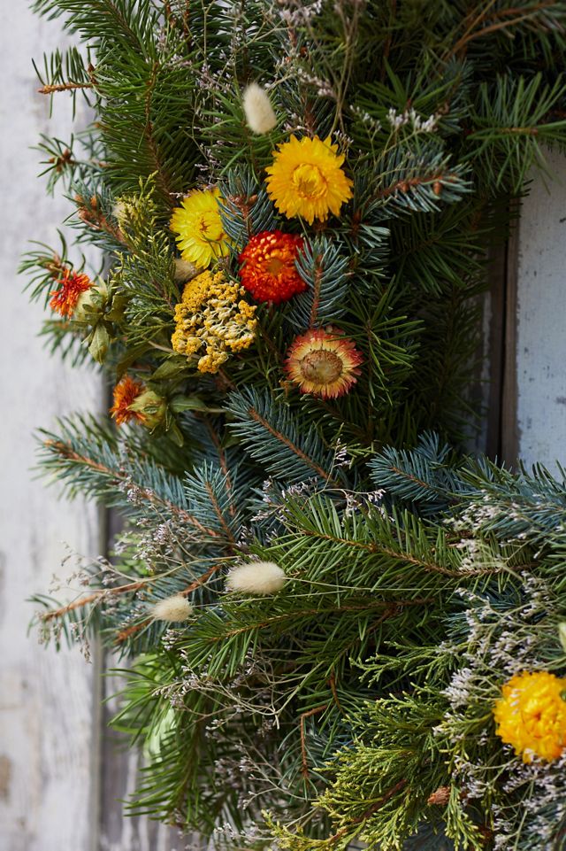 Fresh Noble Fir + Preserved Stem Wreath #6