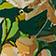 GARDENIA