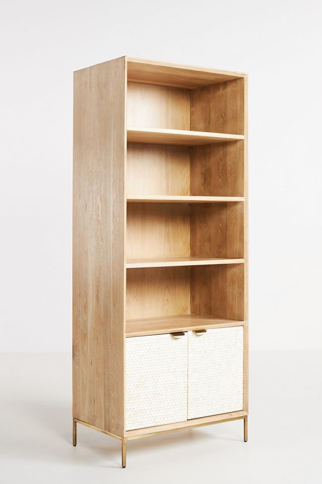 Pisces Bookcase #2