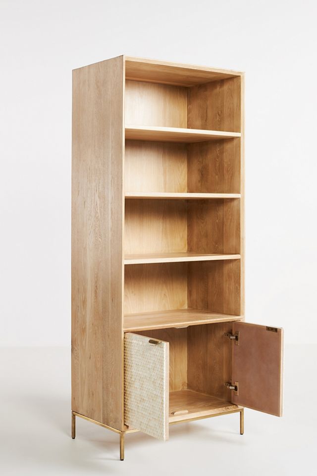 Pisces Bookcase #3