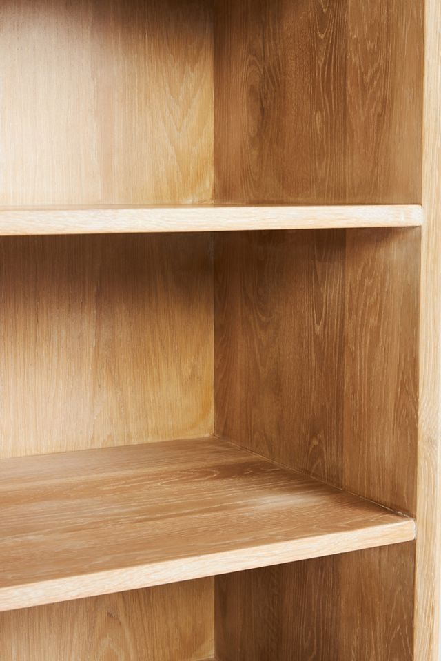 Pisces Bookcase #4