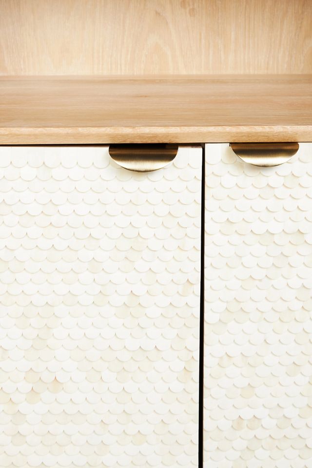 Pisces Bookcase #5