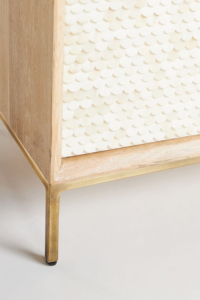 Pisces Bookcase #6
