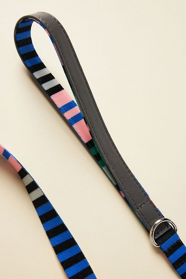 Striped Dog Leash #1