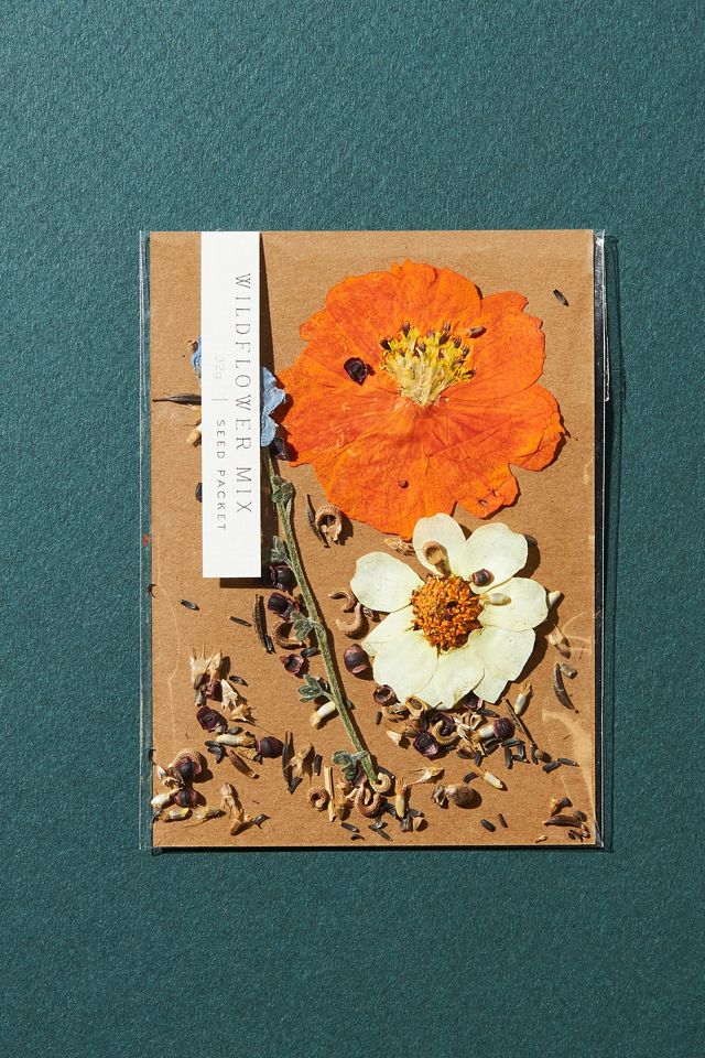 Blossom Seed Kit #1
