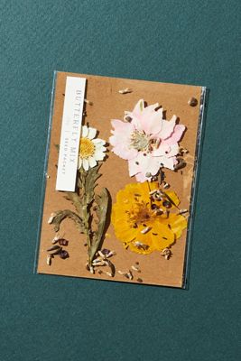 Blossom Seed Kit